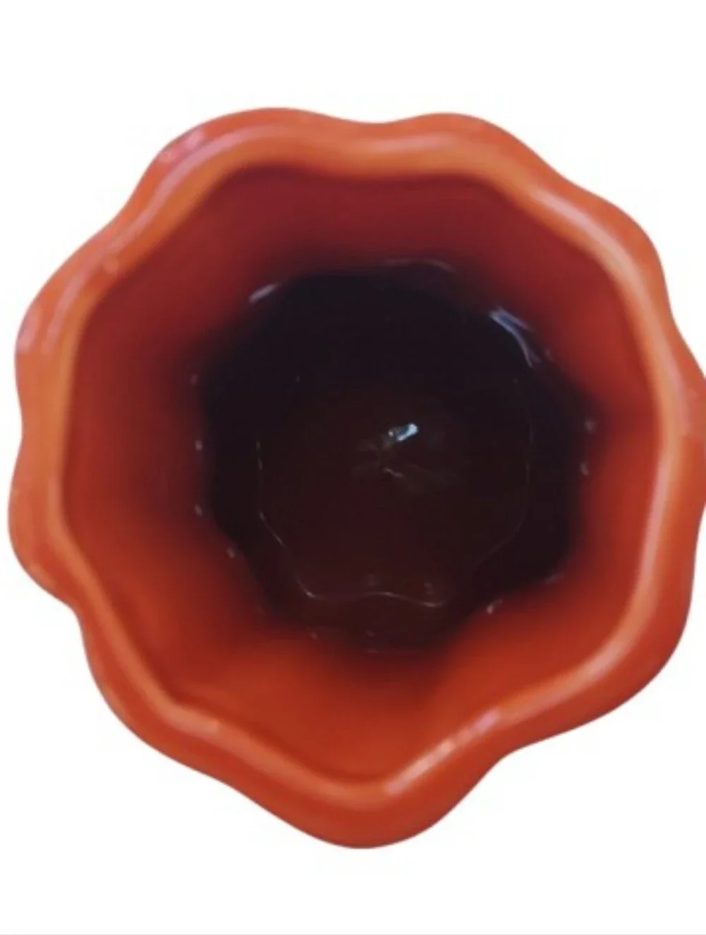 Crate&Barrel Burnt Orange Harvest Vase Home Decor Crate & Barrel